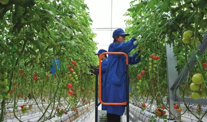 20210417/72b2539cfdd79f37dfca54d7d88ad7b9.png 20210417/72b2539cfdd79f37dfca54d7d88ad7b9.png